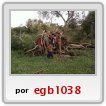 NI�OS