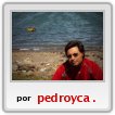 pedro