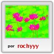 flopi